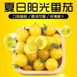 京喜 夏日阳光小番茄黄色圣女果千禧樱桃 1斤