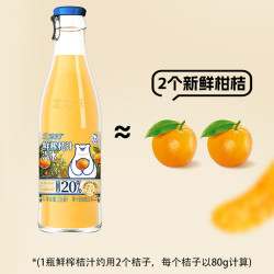 北冰洋 果汁碳酸饮料 桔汁 236ml×6瓶