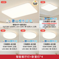 国家补贴：雷士 NVC 全光谱护眼智能吸顶防蚊虫灯具 四室一厅