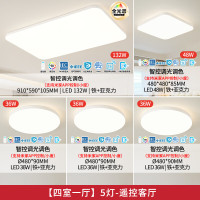 国家补贴：雷士 NVC 全光谱护眼吸顶灯具 全屋智能四室一厅