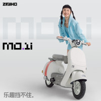 今日必买：极核 ZEEHO 新国标电动自行车 MO系列智能 长续航 MO1i铅酸款 颜色到店选