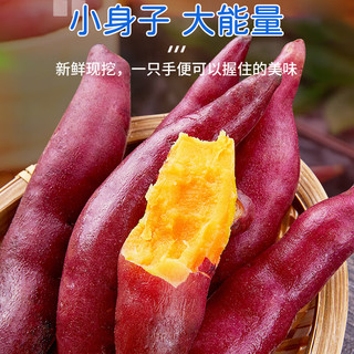 京地达天目山小香薯净重3斤中果约15-20颗左右新鲜小红薯源头直发