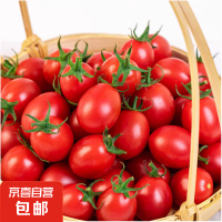 京喜加 冰糖水果小番茄 高山圣女果 2斤 净重
