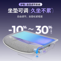 Ergonor保友金豪E2 Pro 人体工学椅 办公椅电脑椅电竞椅 银白美国网