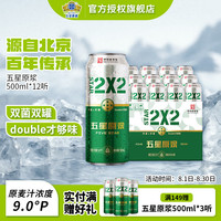 五星 双合盛9°原浆啤酒 双菌双罐发酵 北京 500mL 12罐