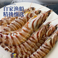 昌鲜园野生竹节虾鲜活船冻斑节虾舟山生鲜海鲜冷冻海虾黑虎虾特大九节虾 500g(净重)  17-20cm【10-12只/斤】