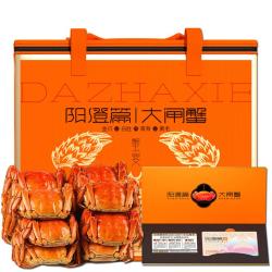 阳澄篇 大闸蟹螃蟹卡日提货券鲜活礼盒卡 优选5228型 公3.0两母2.5两3对  98.98元