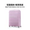 Samsonite 新秀丽 都市商务风拉杆箱轻量大容量TSA密码出差旅行箱 QM4