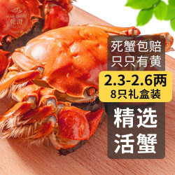 乾澄 活蟹 乾澄大闸蟹现货 2.3-2.6两 8只
