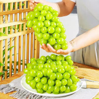 今日必买：宴客级大蟹·只只9两+！昌鲜园 舟山梭子蟹鲜活冷冻 9两以上/只 5斤装 