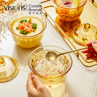 VISIONS 玻璃炖盅带盖汤粥碗燕窝甜品碗隔水蒸盅