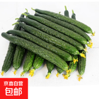 今日必买：宴客级大蟹·只只9两+！昌鲜园 舟山梭子蟹鲜活冷冻 9两以上/只 5斤装 