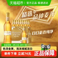 Budweiser 百威 金尊啤酒10度500ml*12瓶高端瓶装拉格整箱批发浓郁麦香