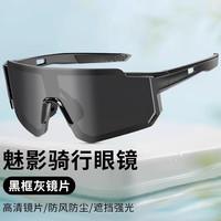 TOOKTRO 山地公路自行车骑行眼镜近视防风镜运动跑步护目镜男款女单车墨镜