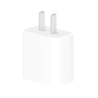 苹果 Apple 20WPD快充头国行
