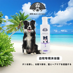 尛宝 日本 边牧沐浴露500ml专用狗狗杀螨除菌去臭止痒边境牧羊犬洗澡用 边牧专用沐浴露500ml