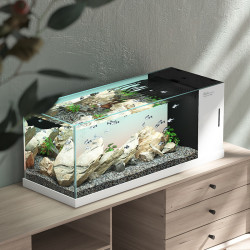 德克 d&a 原生态溪流缸野采造景客厅桌面鱼缸过滤制氧一体机小型