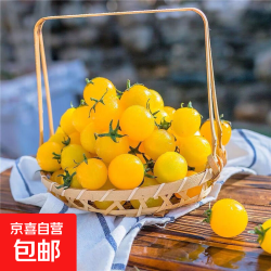 京喜 无品牌 夏日阳光小番茄 1斤