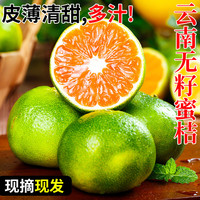 移动端、京东百亿补贴：晟容果蔬 云南蜜橘特早熟桔子青皮蜜桔 净4.5斤-5斤丨单果50mm+