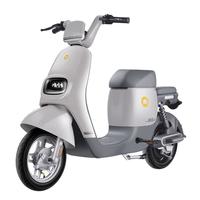 新日 新国标电动车星空48V24Ah锂电池电瓶车代步助力自行车烟雨灰