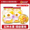 林家铺子 水果罐头 什锦750g*2