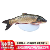 品鲜肴 国产生态草鱼 800g/条