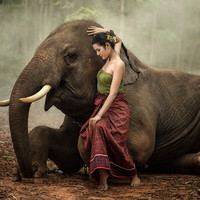 泰国芭提雅东芭乐园植物园 儿童票