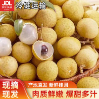 今日必买：宴客级大蟹·只只9两+！昌鲜园 舟山梭子蟹鲜活冷冻 9两以上/只 5斤装 
