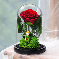 Para Ella 小王子永生花七夕情人节礼物生日送老婆结婚纪念日礼物教师节老师