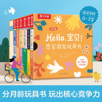 《Hello,宝贝! 感官激发玩具书》(6册)