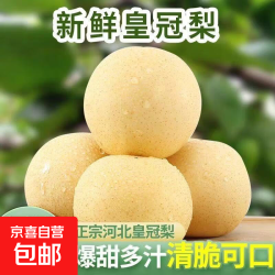 JX 河北 深县 皇冠梨 2斤装