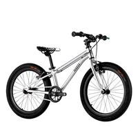 nabiis 那贝斯儿童自行车中大童6-10-12岁男女孩宝宝童车单车20寸标准款 拉丝银-20寸 标准版