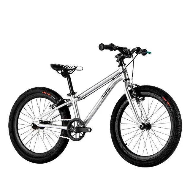 Nabiis那贝斯儿童自行车中大童6-10-12岁男女孩宝宝童车单车20寸标准款 拉丝银-20寸 标准版