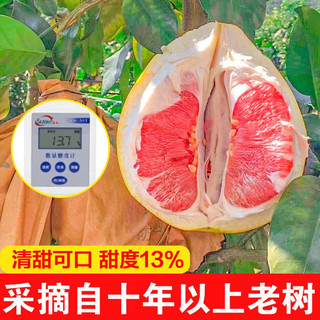 土八鲜福建平和柚子红心柚子琯溪蜜柚 时令新鲜水果红肉柚礼盒 倾国红柚2枚果王（7.5-8斤） 倾国红柚2枚果王（8-8.5斤）