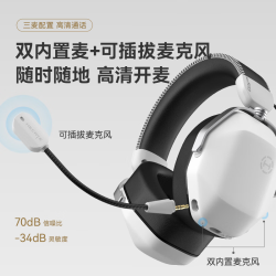 HECATE G5Max无线版 耳罩式头戴式动圈蓝牙耳机 熊猫白 Type-C