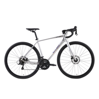 喜德盛 RT180 25款 公路自行车 幻彩银/灰 700C 14速 480mm