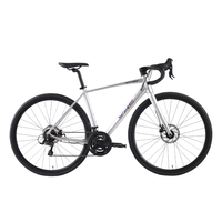XDS 喜德盛 RT180 25款 公路自行车 幻彩银/灰 700C 14速 520mm