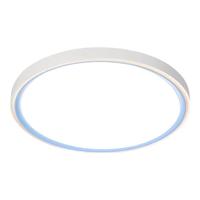 雷士（NVC）全光谱护眼卧室灯奶油风儿童房吸顶灯具 高显色无可视频闪RG0蓝光 32W-蓝色-快装+辅光夜灯