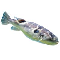 中洋鱼天下 (ZHONGYANG GLOBAL FISH) 河豚鱼150g*2袋 全程可追溯 30年养殖技术 生鲜 海鲜水产 【养殖】江鲜河豚鱼150g*2袋