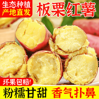 花慕辰 正宗板栗红薯粉糯香甜干粉干面 4.5斤装 大果