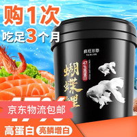 CRAZY PLANT 蝴蝶鲤专用鱼饲料高蛋白1000g白金龙凤锦鲤鱼下沉型鱼粮 1000g 3罐 上浮粮5.5mm大颗粒