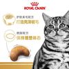ROYAL CANIN 皇家 ASA31美国短毛猫成猫猫粮 10kg