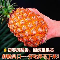 京喜 海南金钻凤梨 4斤 单果500g起 约2-3个