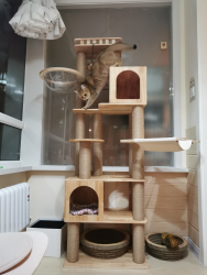 水星喵记 Mercury's Meow Diary 全实木猫爬架猫架大型豪华猫树猫窝一体麻绳猫别墅猫抓柱 五层款1774060