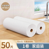 洛伊丝 懒人抹布干湿两用家用