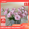 京东鲜花 随机玫瑰20枝1色或多色节日鲜花礼物  40cm