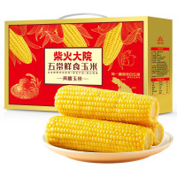 柴火大院 五常鲜食玉米 1.76kg