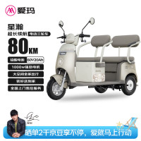 爱玛 电动三轮车星瀚60V20Ah大动力长续航80km家用可带棚小型双座舒适 液态金属银 灰