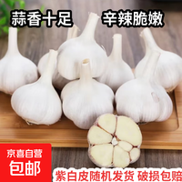 京喜 紫白皮蒜即食水果大蒜 2斤 单果3.5-4.5cm