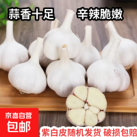 京喜加 紫白皮蒜即食水果大蒜 2斤 单果3.5-4.5cm